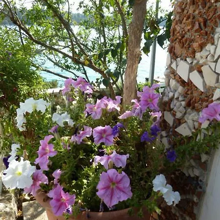 Ljilja * Blato (Korcula)