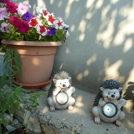 Ljilja Apartman Blato