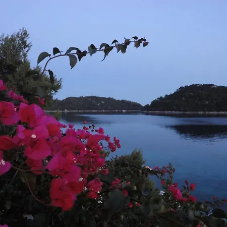 Διαμέρισμα Ljilja Blato (Korcula)