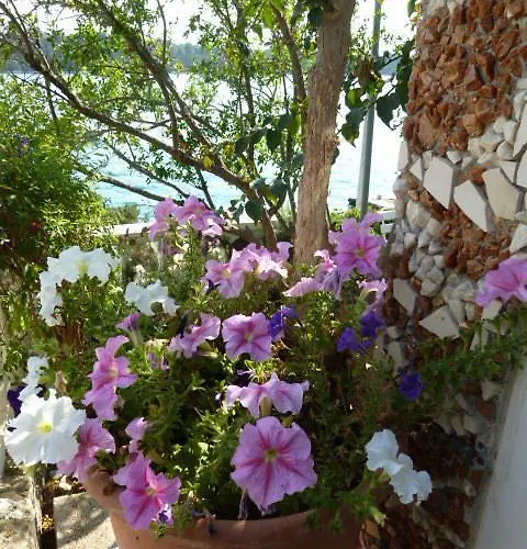 Ljilja * Blato (Korcula)